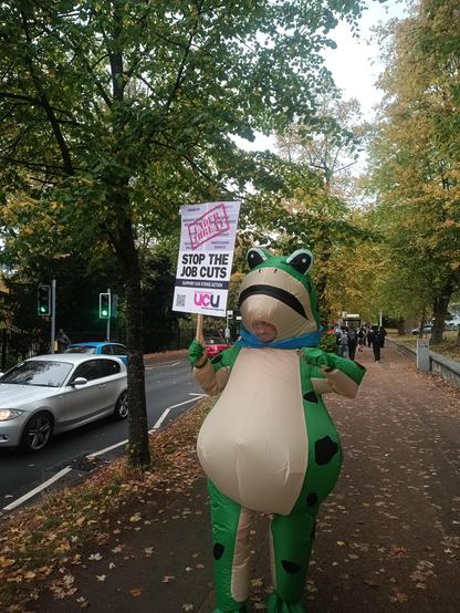 Street scene with white car to left, frog costumes picket with "Stop the Cuts" placard