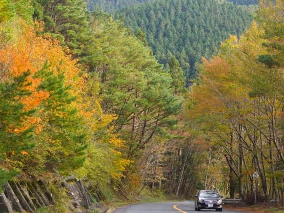 秋に行きたい「和歌山県の絶景ドライブスポット」ランキング！ 2位「高野龍神スカイライン・護摩壇山周辺ルート」、1位は？ - All About ニュース