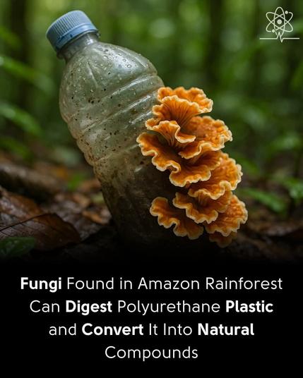 How amazing is nature?