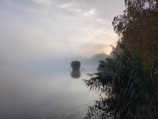 Widok ku wschodzącemu słońcu na krawędzi stawu. Po lewej stronie błękitna woda przesłonięta przez srebrzystą mgłę. Bardziej w prawo mgła się rozrzedza, i na przeciwległym brzegu pojawiają się kontury drzew. Gdzieś w środkowej odległości wodę przerywa ciemna kępa traw. Po prawej stronie, nad wyraźniejącymi konturami drzew niebo zabarwione jest na pomarańczowo od słońca. Dalej w prawo ciemnozielone, przybrzeżne trawy i drzewo z pomarańczowożółtymi liśćmi.