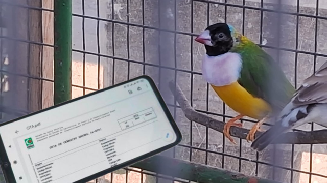 Imagem de capa da notícia, infelizmente por ser um bot hospedado gratuitamente, não consigo gerar texto alternativo!