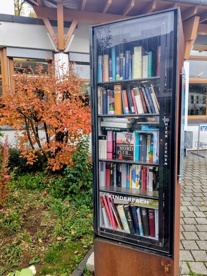 Five story free library, with an official door and a red tree and tourist information building behind it.