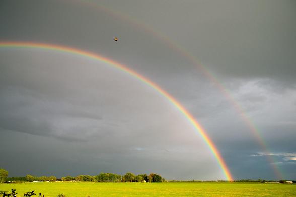 A double rainbow over farmland. In between the rainbows, a dove is diving down.