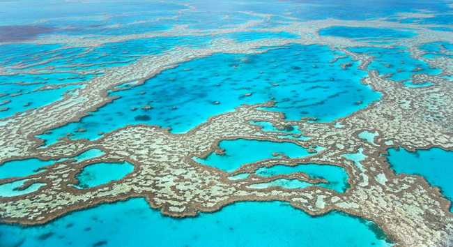 Korallenriffe wie hier das Great Barrier Reef haben ihren thermischen Kipppunkt überschritten – ihr Niederbang ist kaum mehr aufzuhalten. © mevans/ iStock