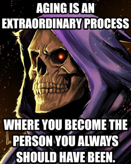 Aging is an extraordinary process where you become the I person you always should have been. Says Skeletor feeling his aging quite a lot.