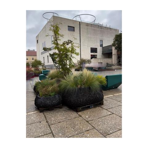 Mobile Blumenbeete aus großen Säcken