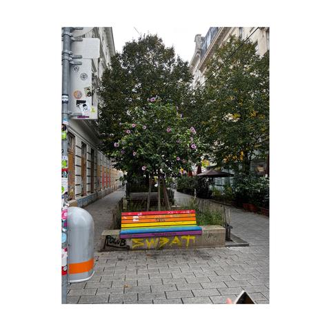 Die Bank an einem Beet in einer Fußgängerzone ist Latte für Latte zum Regenbogen lackiert