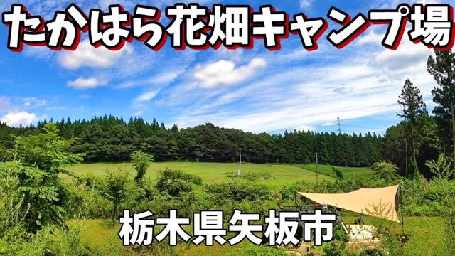【たかはら花畑キャンプ場】2025/8｜栃木県