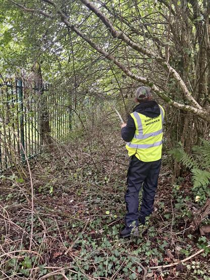 Sizing up the branches to see what needs clearing to keep it natural and accessible.