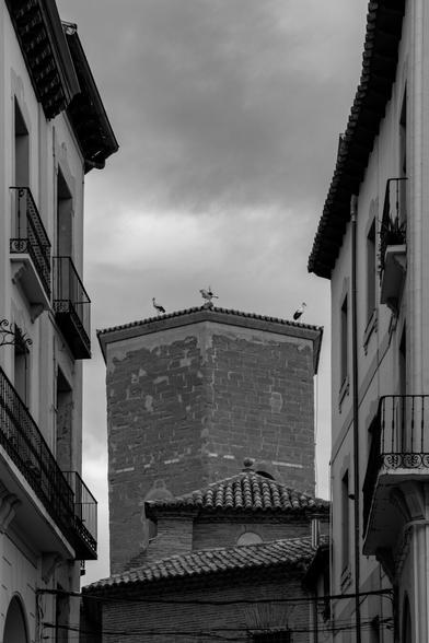 Español: vista en blanco y negro de una calle con edificios antiguos y en la parte central se ve la torre de San Pedro El Viejo, sobre el que descansan varias cigüeñas bajo un cielo nublado.

English: Black and white view of a street with old buildings, in the middle of which you can see the tower of San Pedro El Viejo, on which several storks rest under a cloudy sky.