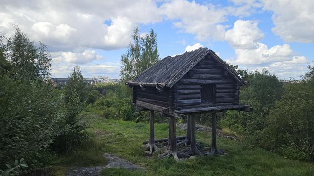 Horizontal colour photo showing a wooden hut on a clearing between trees. It's clearly standing on high ground, because all tree tops are lower than the roof of the hut. The hut itself is placed on several tree trunks like on stilts. The trunks still seem to have their roots which makes it look as if the hut has legs and feet and will start walking away any moment now. It's made of thick logs with a single small door and without windows. The sky behind the scene is a bright blue with lots of scattered white fluffy clouds that are hiding the sun.
