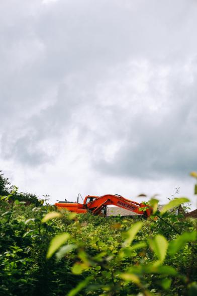 photo of an orange excavator behind a lot of green bushes and grass, during a cloudy autumn day