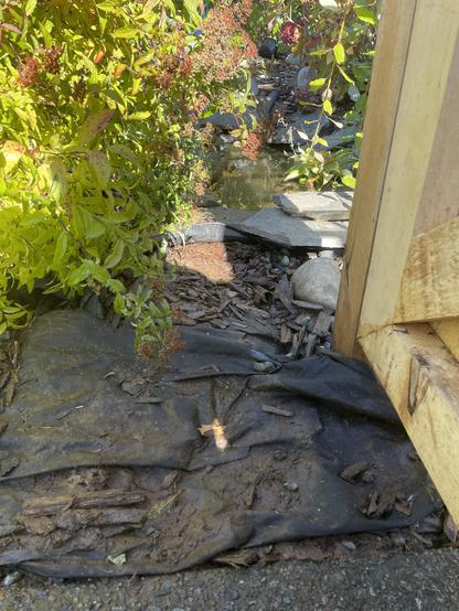 After completing the work, the pipe from the pump has been buried and concealed underneath of black fabric cloth. It goes underneath the bottom of the fence. This picture is close to the ground, looking from the concrete pathway edge towards the end of the pond that is lined with flat rocks. There’s a small bush to the left.