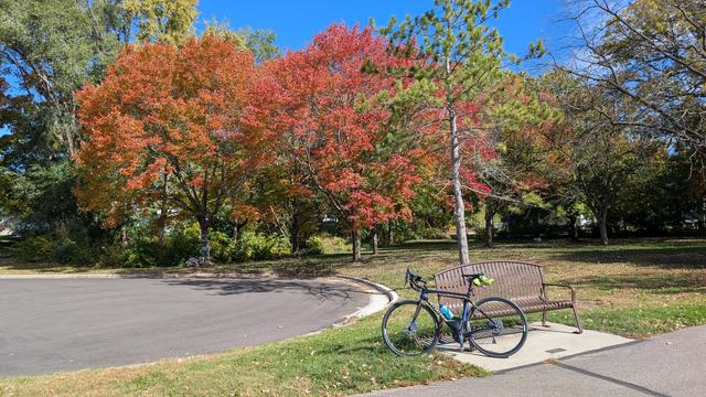 Blue and black Roubaix bicycle leaning on a park bench on the Bear Creek Trail looking East at a couple trees with bright orange leaves against the deep blue sky.