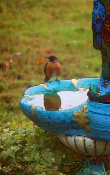 Medium close-up of a male robin sitting on the edge of a blue clamshell birdbath. To the right forefront is a portion of a Japanese styled figure resting on the birdbath pedestal. The digital effect creates a painterly book illustration style.