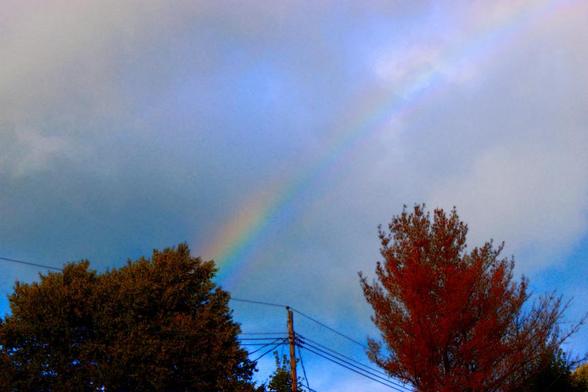 A rainbow's arc rests between clouds, while two trees, with Fall colours, seem to stretch up, as if in greeting to their fellow coloured brethren.