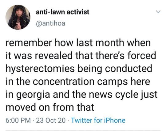 A tweet by anti-lawn activist with the tag @antiHOA saying "remember how last month it was revealed that there’s forced hysterectomies being conducted in the concentration camps in georgia and the news cycle just moved on from that." it was posted: 6:00 PM · 23 Oct 20