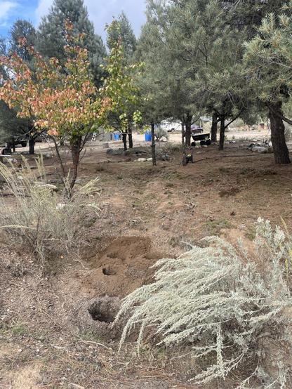 view from the downhill side.  I've augered a bunch of holes in the lowest and deepest infiltration pond to get further water penetration into the landscape.  The auger is laying in the middle pit.  A gorilla cart is next to the uphill and first infiltration pit