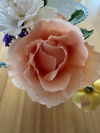 A closeup photo of a just Joey rose