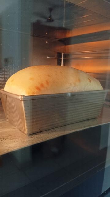 Inside view of an oven with warm, golden light. A silver bread tin in which white bread is being baked. This photo has been taken just at the beginning. The top is beginning to dome and the edges have brown spots forming on it.