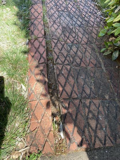 Old paved path - bricks(?) with Criss-cross diagonal markings