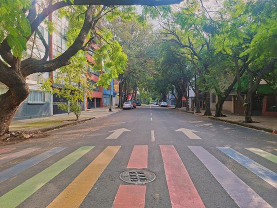 Rainbow zebra crosswalk