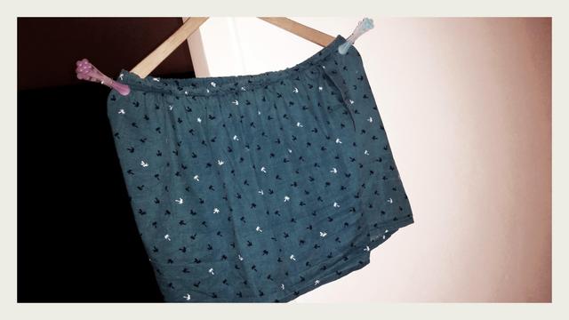 Photograph of green/blue boxer shorts on a clothes hanger, secured with a pink and blue clothes peg.