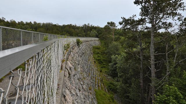 A photo of the stone wall of a dam going into a forest. There is a chain-link fence on the top of the dam and the sky is overcast.