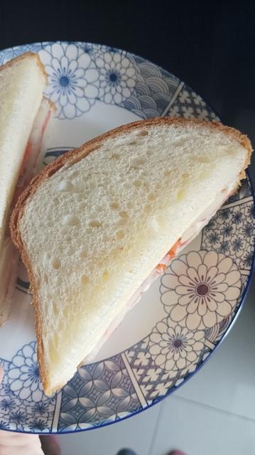 A top shot up of the two halves of white bread sandwich on a white plate with blue  floral design (line designs, mostly) with the light hitting the right side of the sandwich.