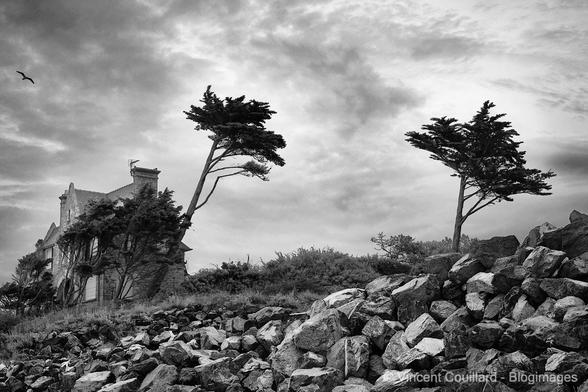Photo en noir et blanc d’une vieille maison dans une lande désolée qui fait face à la tempête. Deux pins en ombre chinoise sont battus par le vent. Au premier plan des rochers semblent garder la maison. Cette photo fait penser à certaines scènes du cinéma d’Alfred Hitchcock.