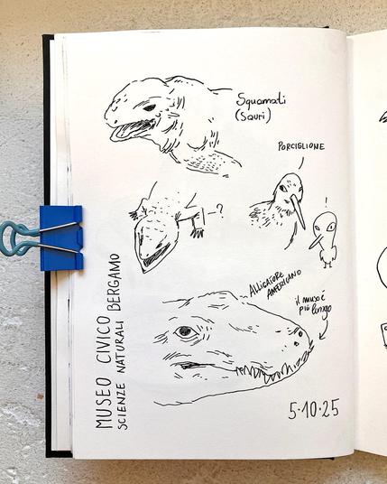 A page from a sketchbook with b&w line drawings. From top to bottom, an exotic lizard (species unknown, but similar to an iguana), another lizard seen from above, with a large head, a long-beaked bird and a alligator head (which turned out too short).
The text says: City Museum of Natural Science Bergamo – 5. 10. 25
