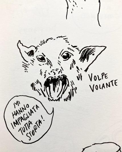 The head of a flying fox, with its mouth open saying "they stuffed me all wrong").
