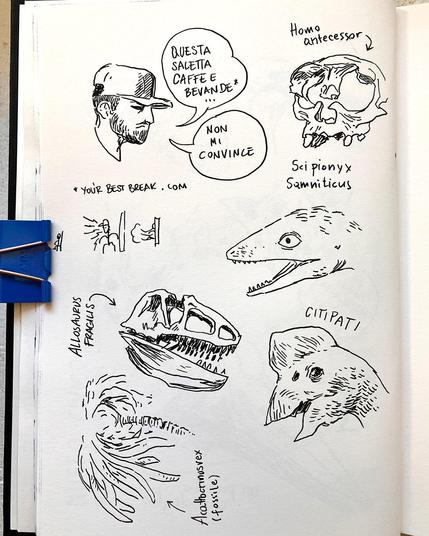A page from a sketchbook with b&w line drawings. From top to bottom: a man saying "the selection of drinks  and coffee does not convince me". The partially broken skull of a Homo Antecessor. The head of a Scipionux Smniticus dinosaur, the skull of an Allosaurus Fragilis, the head of a Citipati dinosaur, and a fossile plant (Acathocrinus Rex) that looks a bit like a palm tree.