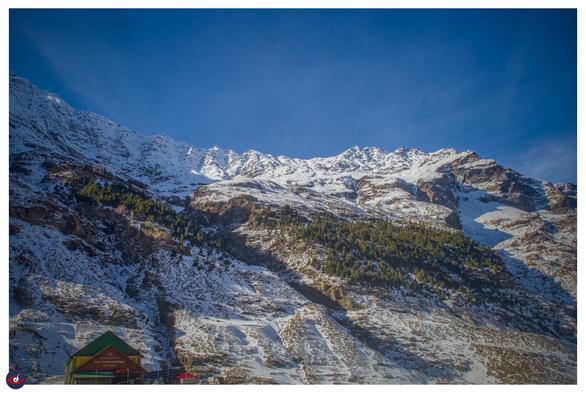 A photo of snow-capped mountains, blue sky with some misty clouds. there are green trees on the slope. at left bottom there's a green and yellow shed.