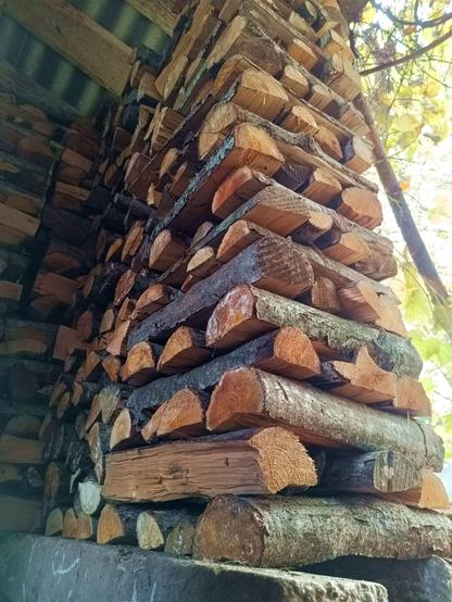A corner stack of firewood with alternating rows of split logs arranged perpendicular to the previous layer for stability. The view is from the ground up to a lean-to roof. A grape is growing over the open side.