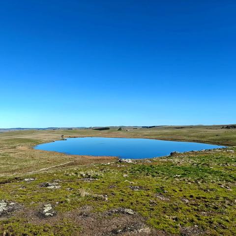 Sur l'Aubrac, autour de Nasbinals