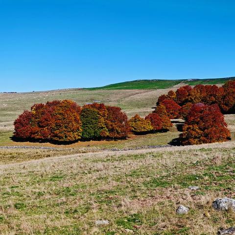 Sur l'Aubrac, autour de Marchastel