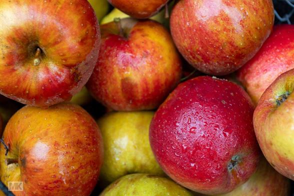Rotbackige Äpfel im Korb. Sie gehen morgen in die Saftpresse.