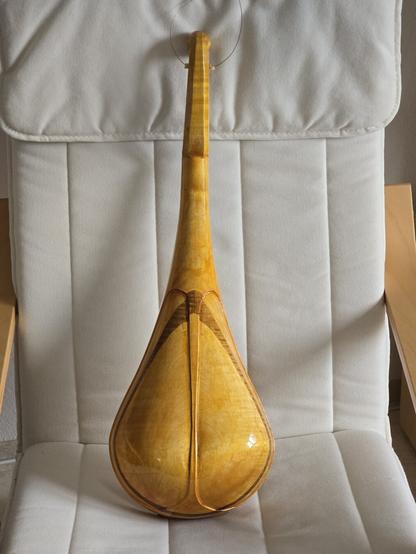 Small, pear shaped instrument with ten strings resting on a white ikea chair, back view