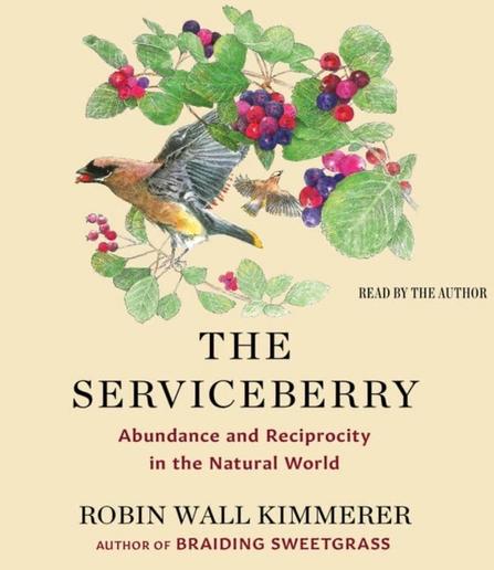 waxwings among juneberry bush fillew with ripe and ripening berries.

The Serviceberry; Abundance and Reciprocity in The Natural World.

by Robin Wall Kimmerer. Author of Braiding Sweetgrass.