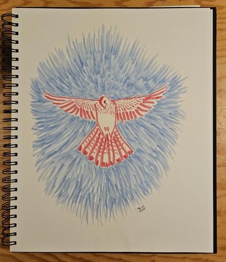 Brushpen drawing of a red falcon against a blue sky.