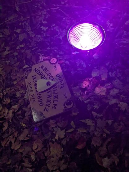 A ouija board and planchette laying on fallen leaves, next to a purple light.