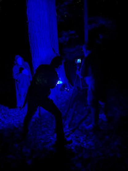 A hooded figure holding a skull peers around a tall tree. Another figure records the scene on a camera on the right side, and a third figure holds leaves in front of a strong blue light to create shadows.