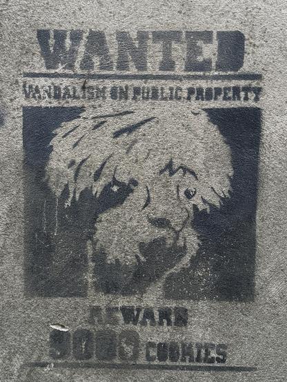 Ein schwarz-weiß Graffito zeigt ein Llama und hat die Aufschrift Wanted Vandalism on Public Property 
Reward 5000 Cookies