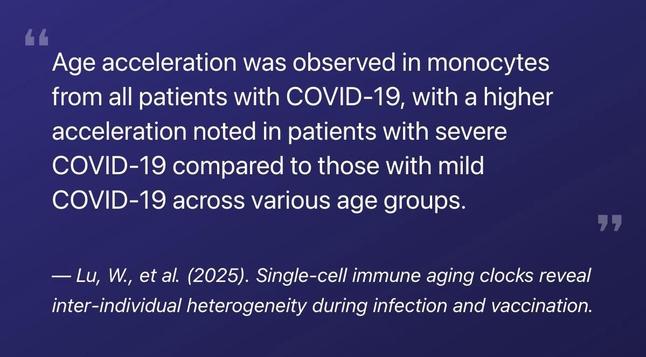 “Age acceleration was observed in monocytes from all patients with COVID-19, with a higher acceleration noted in patients with severe
COVID-19 compared to those with mild
COVID-19 across various age groups.”

- Lu, W., et al. (2025). Single-cell immune aging clocks reveal inter-individual heterogeneity during infection and vaccination.