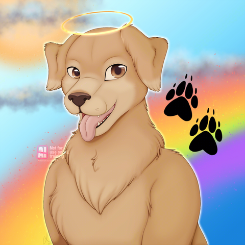 A digital, stylized portrait of a golden retriever.
In loving memory of Kobalt.