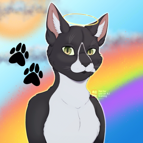 A digital, stylized portrait of a tuxedo cat.
In loving memory of Boo.