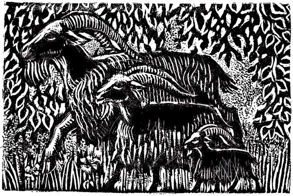 Woodcut of three billy-goats, walking through the forest, side by side.