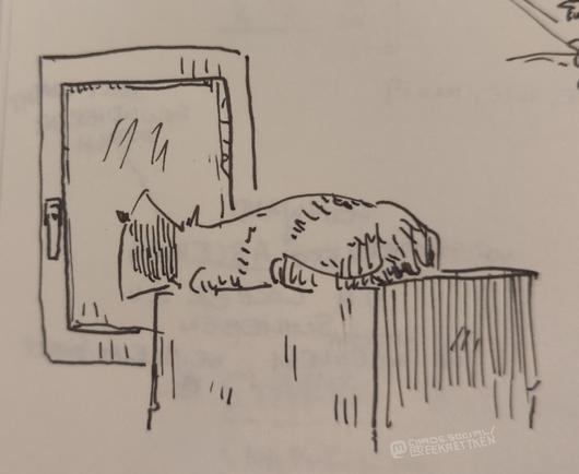 Black Fineliner on paper

A cat wearing a cone, lying on a box, looking out the window