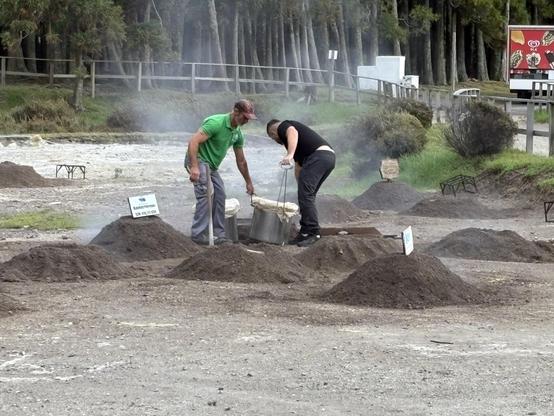 Men pulling a cooking pot from a hole in the ground.  Steam from volcanic fumaroles can be seen behind them.  In the front, dirt piles with signs indicating the name of restaurants indicates which restaurant is cooking in each mound.